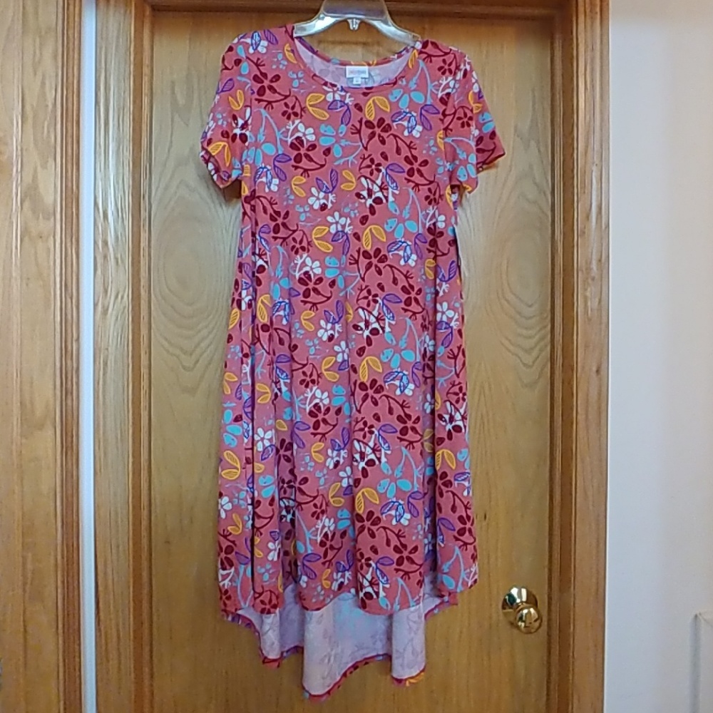 Colorful Lularoe Carly